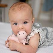 Hippo - Organic Natural Rubber Rattle, Teether & Bath Toy